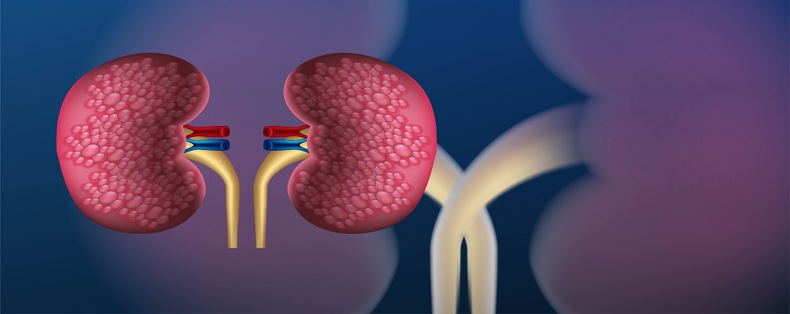Early Warning Signs of Kidney