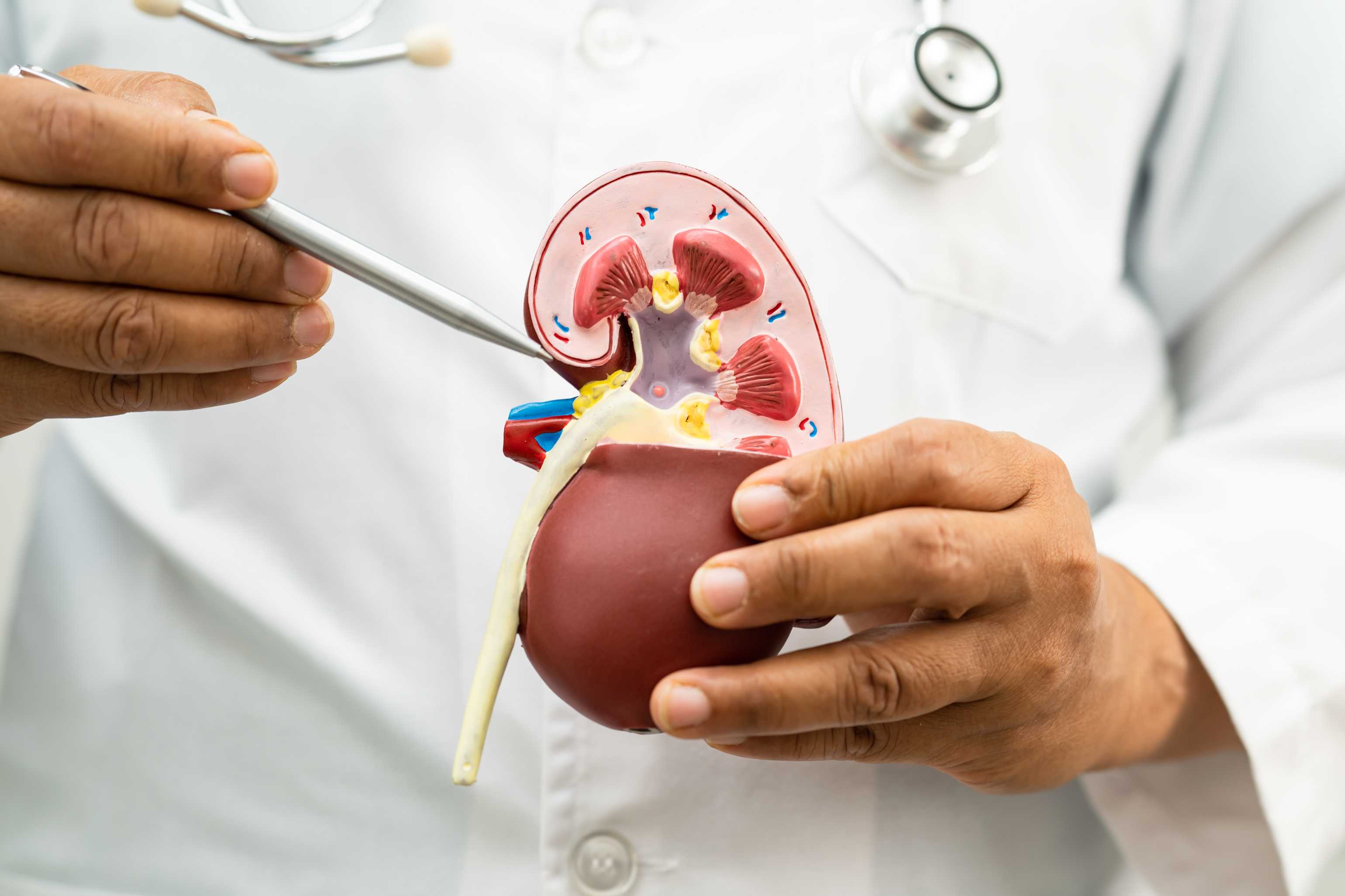 Kidney Disease